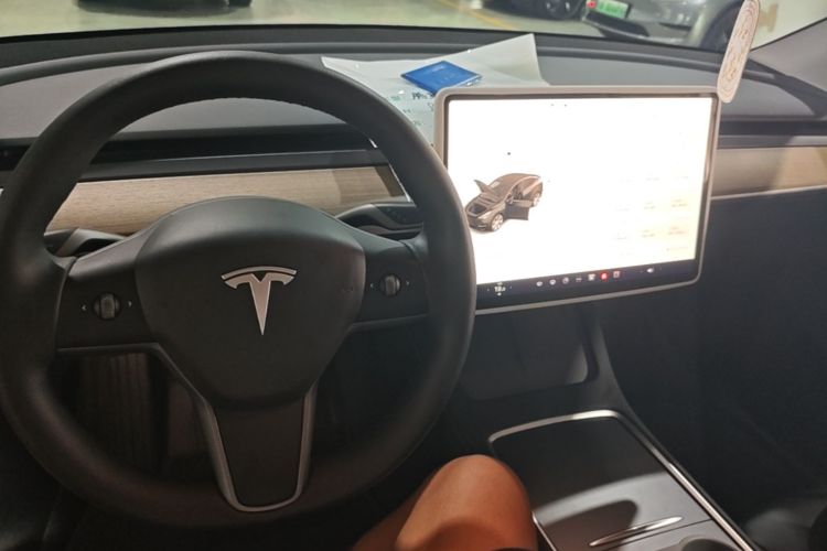Tesla Model Y 2023 #10 Tesla Model Y 2023 car image #10