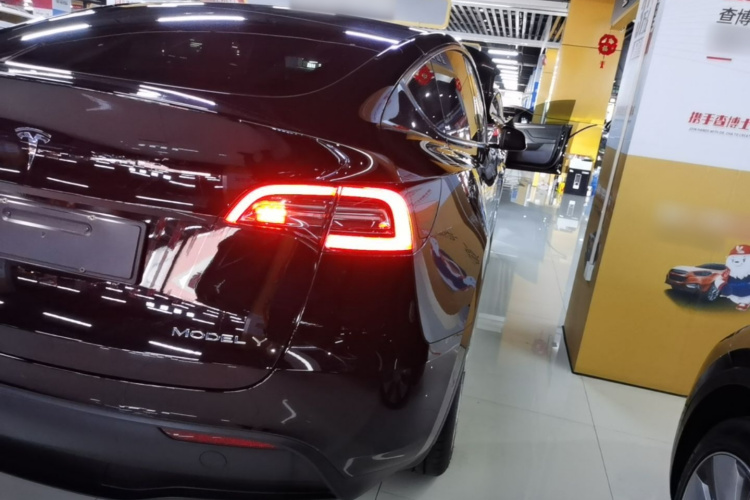 Tesla Model Y 2021 #8 Tesla Model Y 2021 car image #8