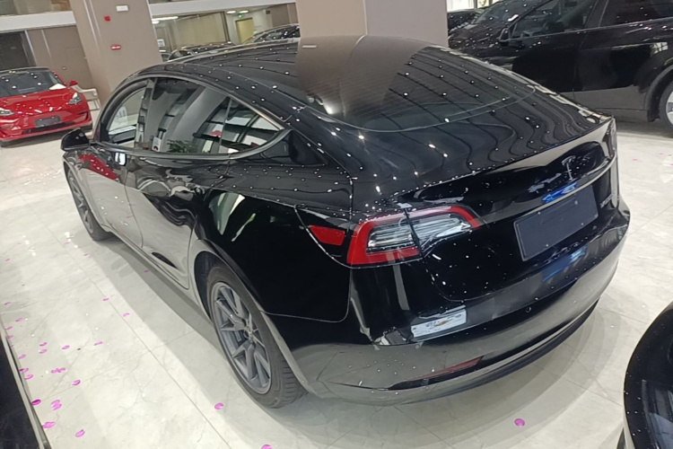Tesla Model 3 2023 #5 Tesla Model 3 2023 car image #5