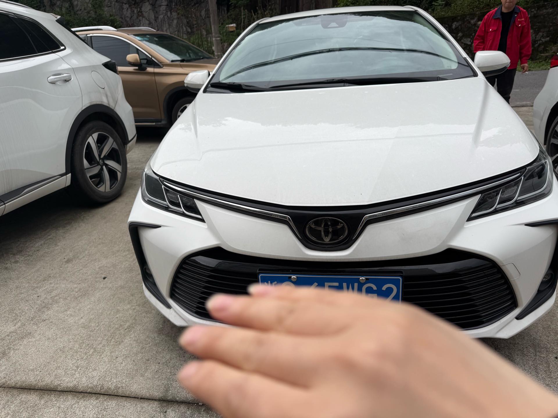 丰田 卡罗拉 2021 汽车图片 #2