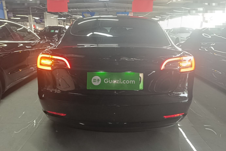 Tesla Model 3 2021 #6 Tesla Model 3 2021 car image #6