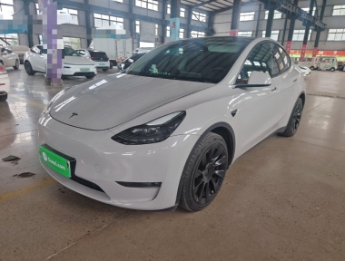 Tesla Model Y 2022 Tesla Model Y 2022 car image