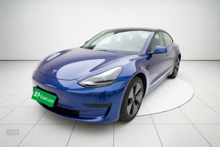 Tesla Model 3 2021 #2 Tesla Model 3 2021 car image #2