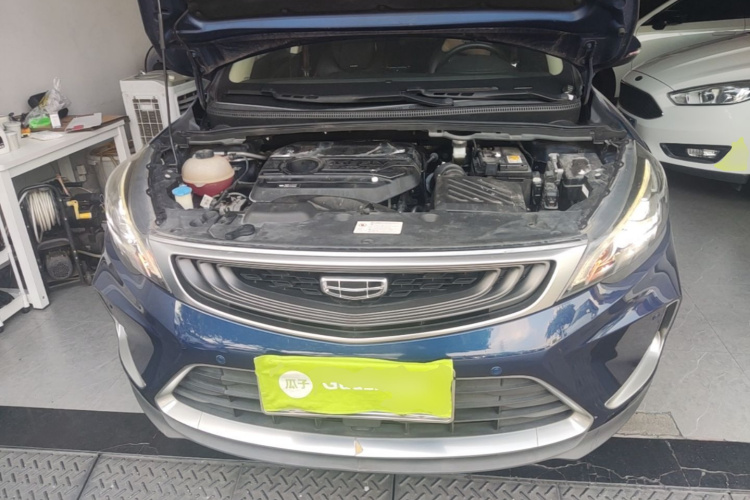 GEELY Emgrand GS 2020 imagem de carro #20