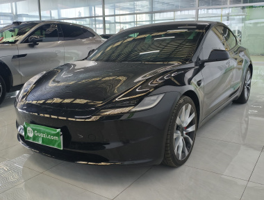 Tesla Model 3 2024 Tesla Model 3 2024 car image