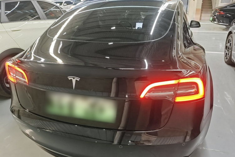 Tesla Model 3 2021 #6 Tesla Model 3 2021 car image #6