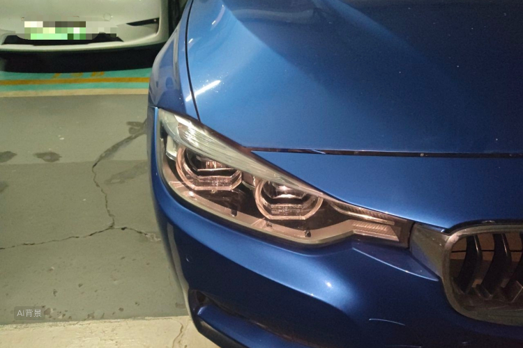 BMW 3 Series 2017 car image #8