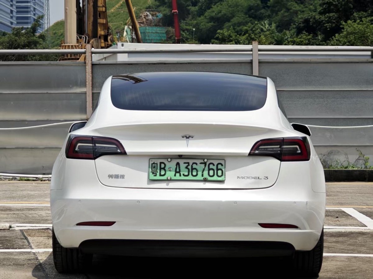 Tesla Model 3 2020 car image #8