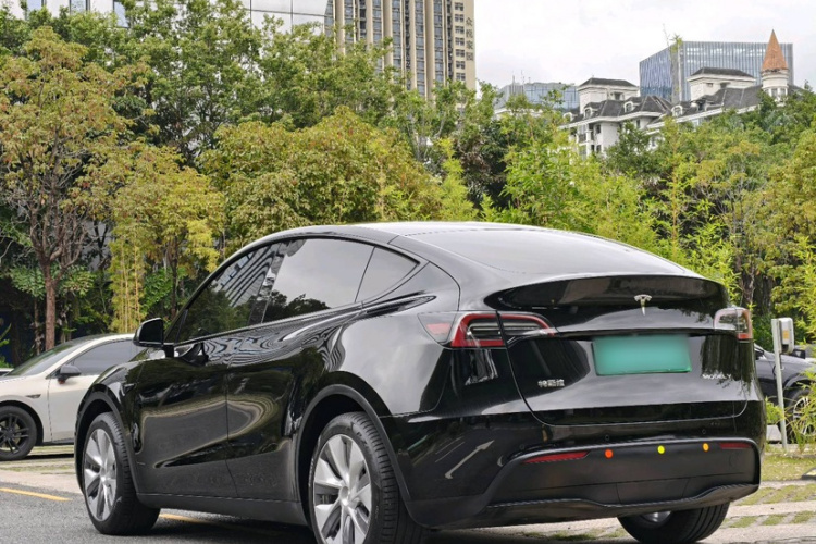 Tesla Model Y 2023 #5 Tesla Model Y 2023 car image #5