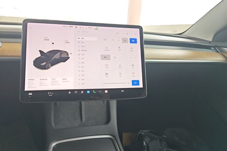 Tesla Model 3 2021 #13 Tesla Model 3 2021 car image #13