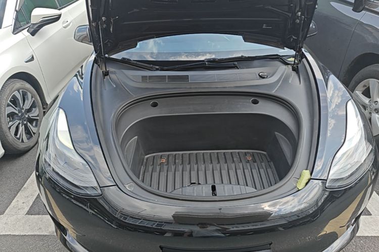 Tesla Model 3 2021 car image #20