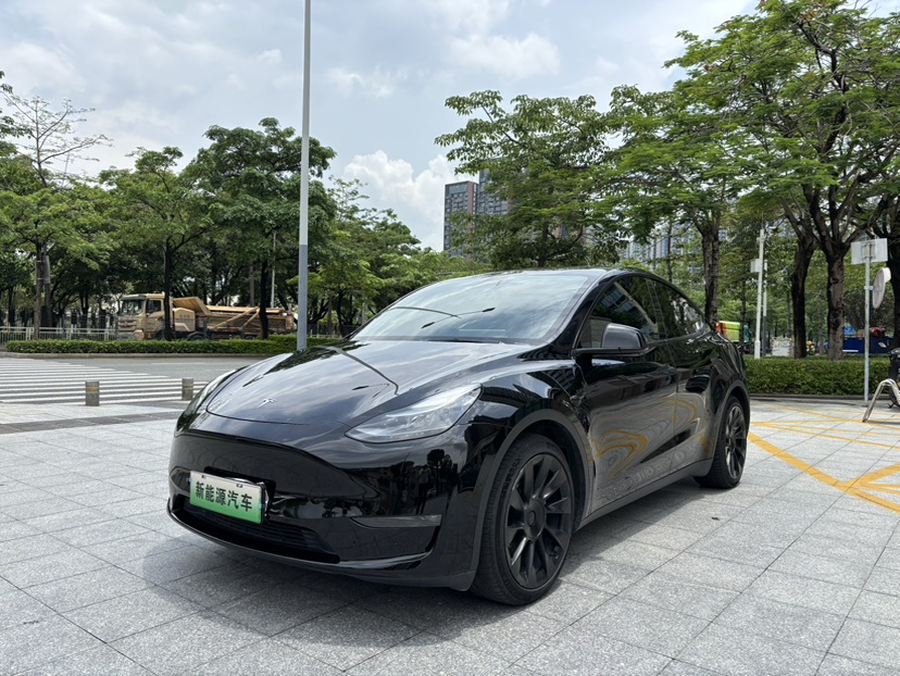 Tesla Model Y 2021 Tesla Model Y 2021 car image