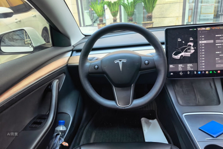 Tesla Model 3 2021 car image #12