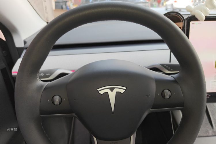 Tesla Model Y 2024 car image #13
