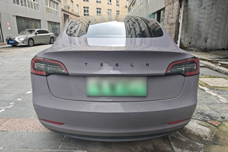 Tesla Model 3 2021 car image #6