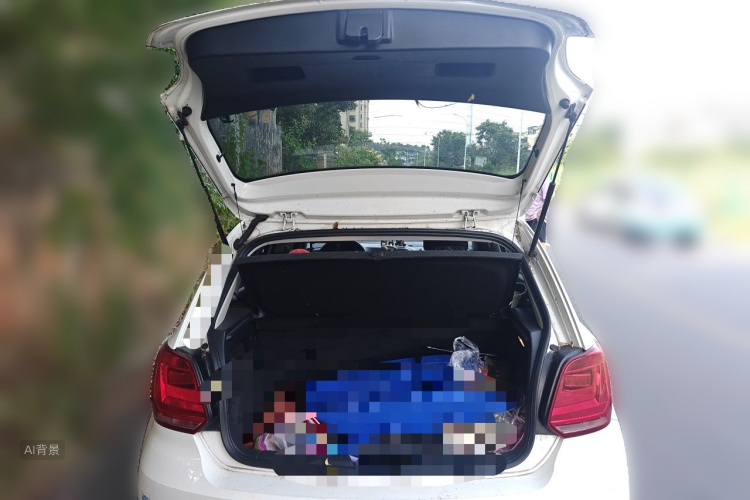 Volkswagen Polo 2018 car image #21