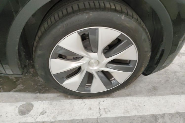 Tesla Model Y 2023 immagine di auto #6
