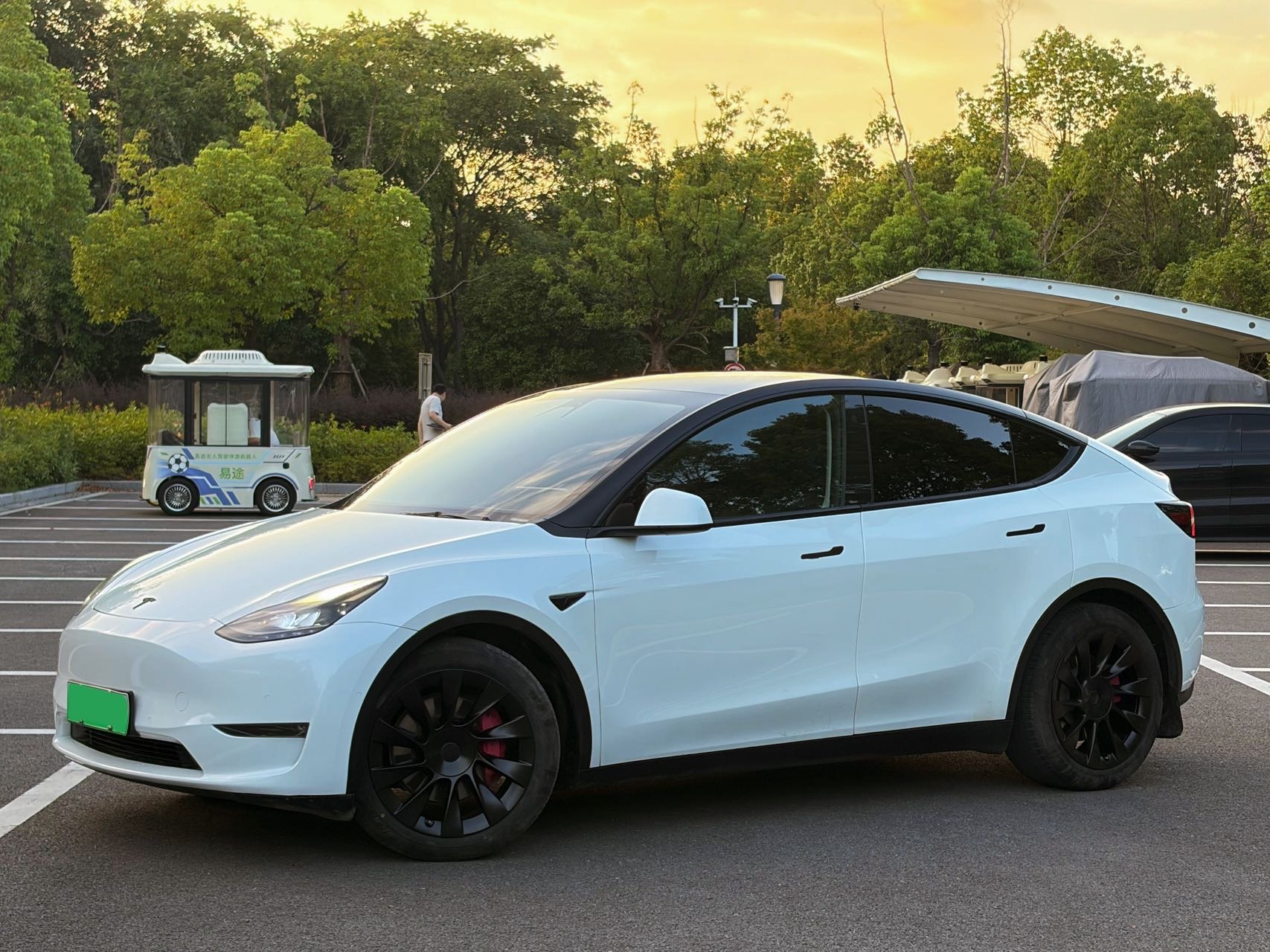 Tesla Model Y 2021 car image 
