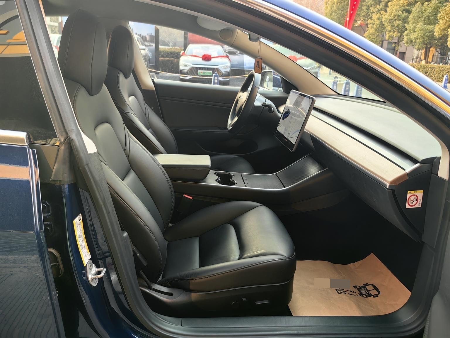 Tesla Model 3 2020 imagen de coche #14