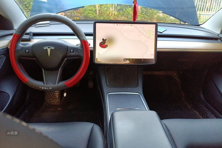 Tesla Model 3 2021 car image #11