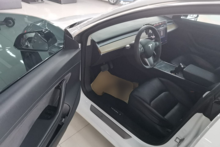 Tesla Model 3 2020 car image #16