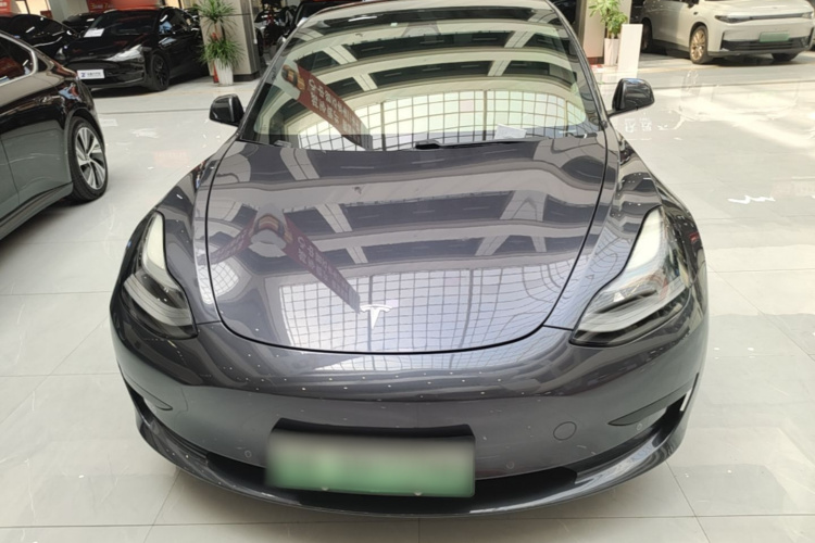 Tesla Model 3 2021 car image #3