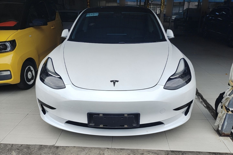 Tesla Model 3 2020 car image #3