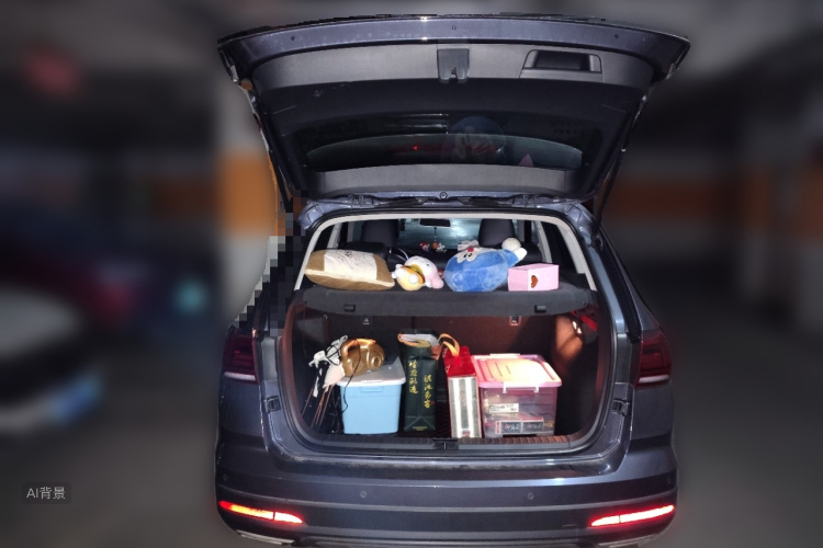 Volkswagen Tharu 2019 car image #21