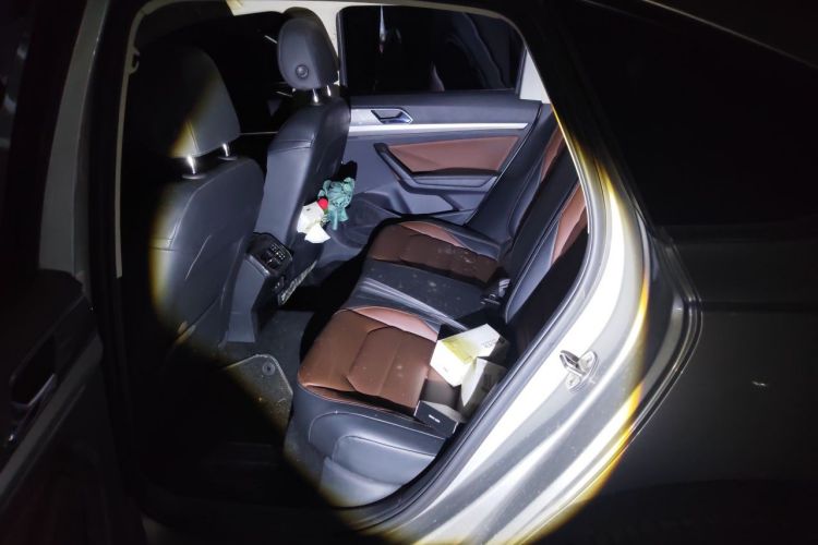 Volkswagen Lavida 2020 car image #10