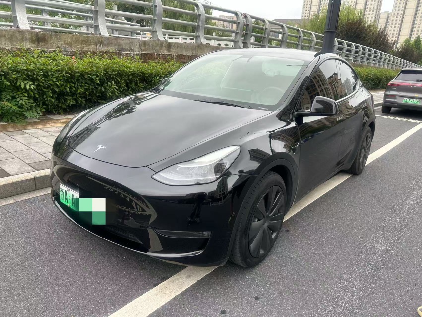 Tesla Model Y 2022 Tesla Model Y 2022 car image