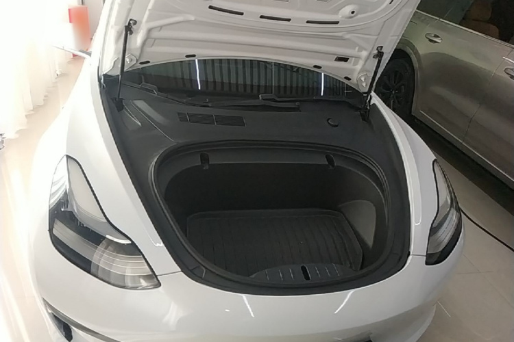 Tesla Model 3 2020 #20 Tesla Model 3 2020 car image #20