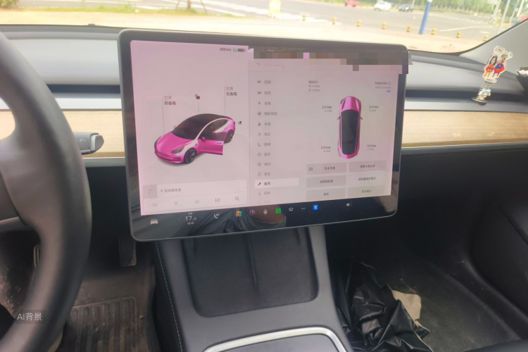 Tesla Model 3 2021 car image #15