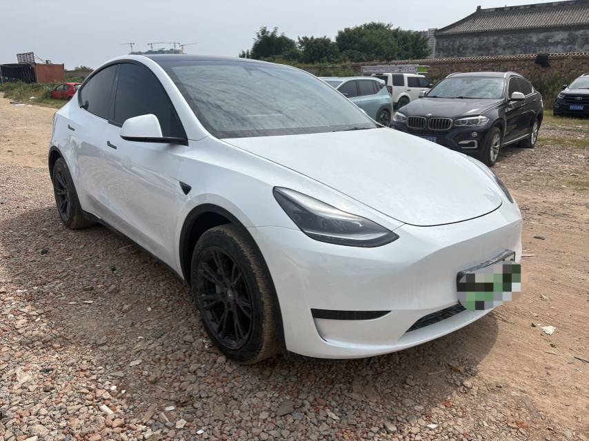 Tesla Model Y 2024 #2 Tesla Model Y 2024 car image #2