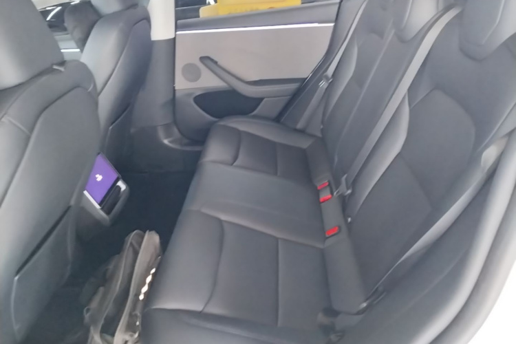 Tesla Model 3 2024 car image #17