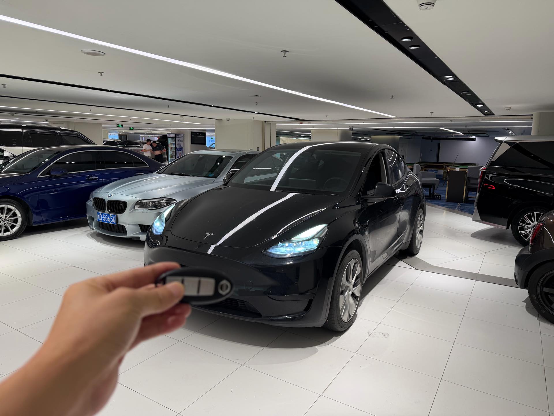 Tesla Model Y 2023 Tesla Model Y 2023 car image