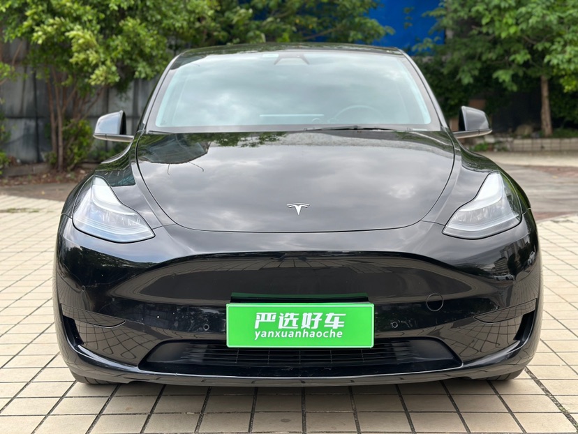 Tesla Model Y 2022 #2 Tesla Model Y 2022 car image #2