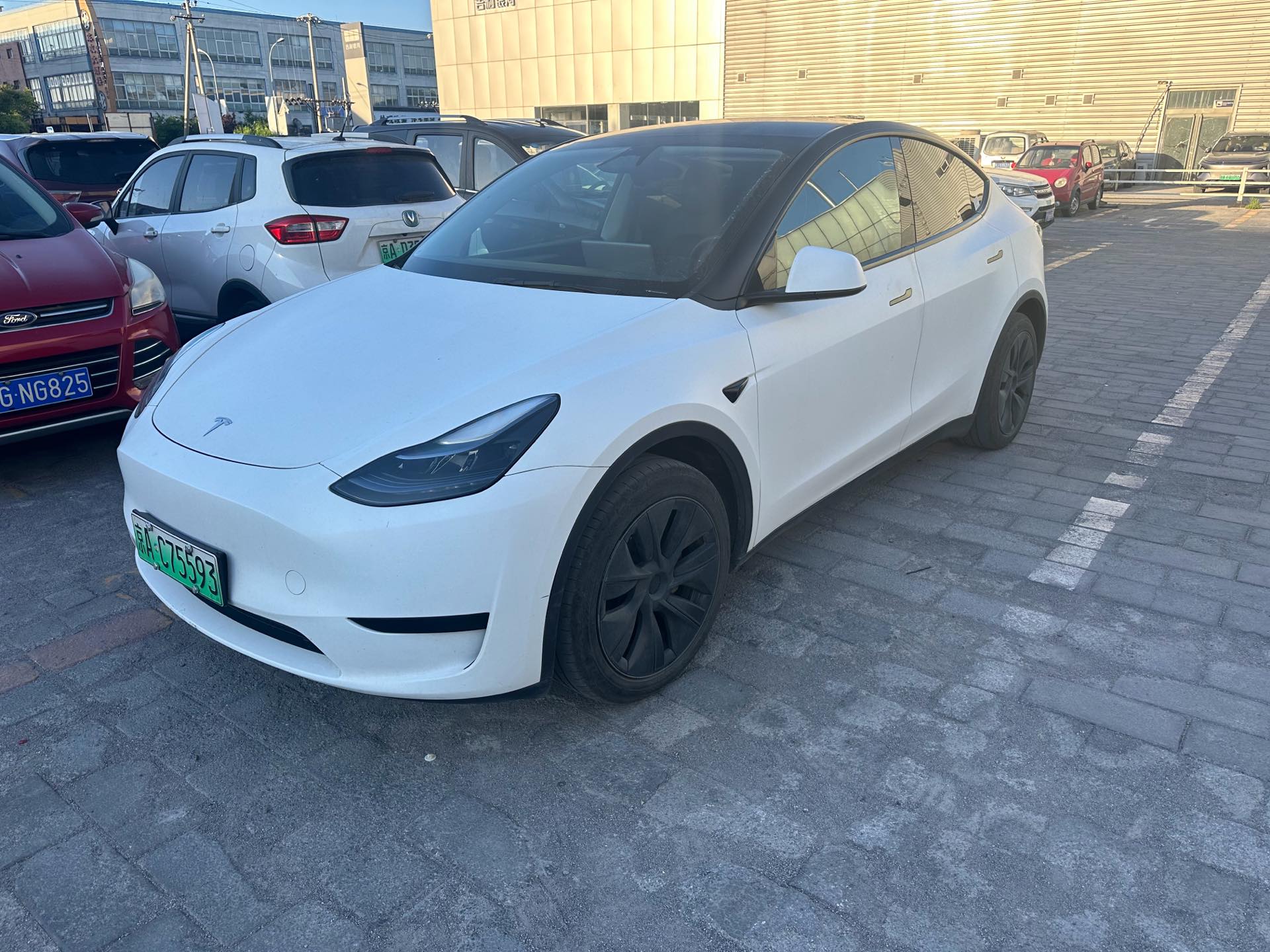 Tesla Model Y 2024 Tesla Model Y 2024 car image