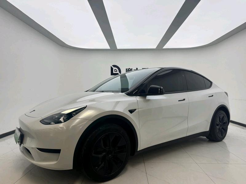 Tesla Model Y 2024 car image 