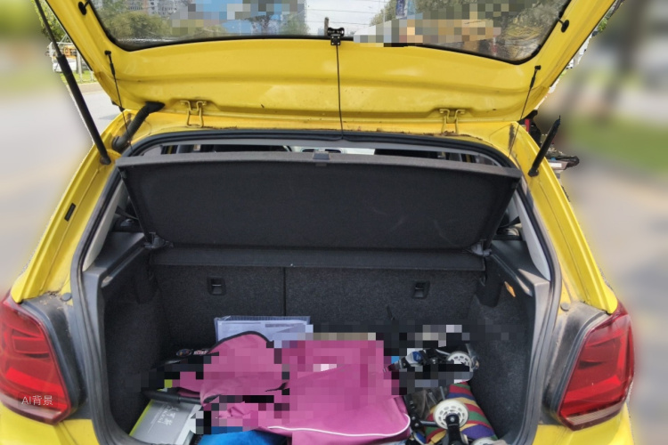 Volkswagen Polo 2016 car image #21