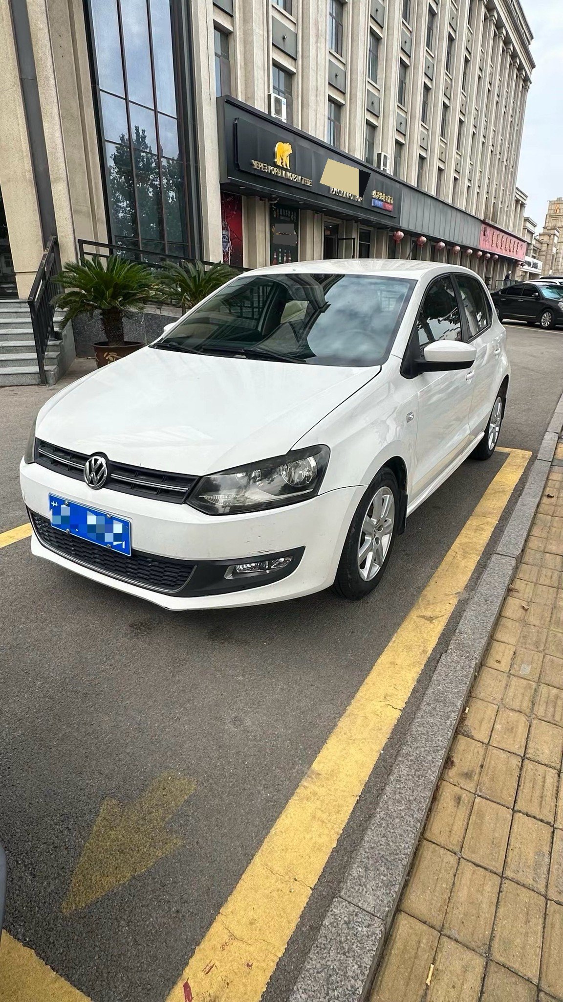 Volkswagen Polo 2013 Volkswagen Polo 2013 car image