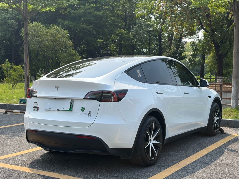Tesla Model Y 2024 car image #4