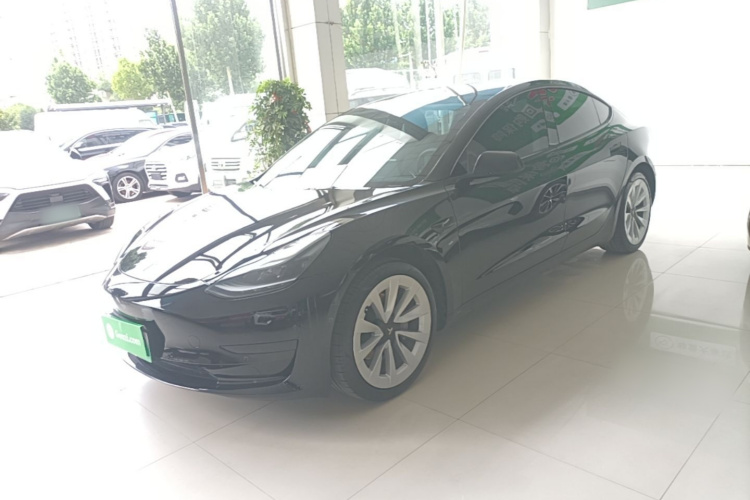 Tesla Model 3 2023 #2 Tesla Model 3 2023 car image #2