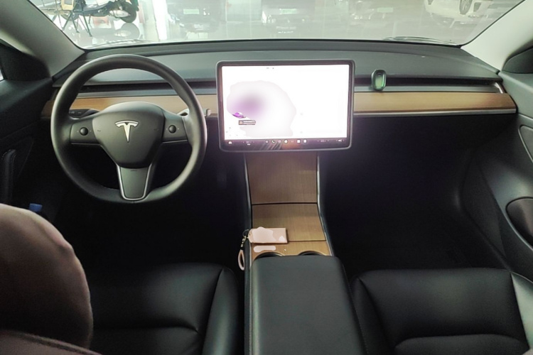 Tesla Model 3 2020 car image #10