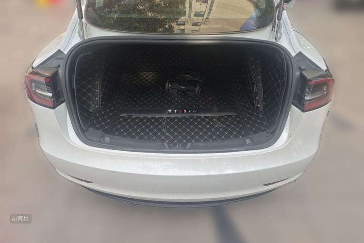 Tesla Model 3 2020 #21 Tesla Model 3 2020 car image #21