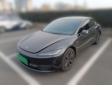 Tesla Model 3 2024 car image 