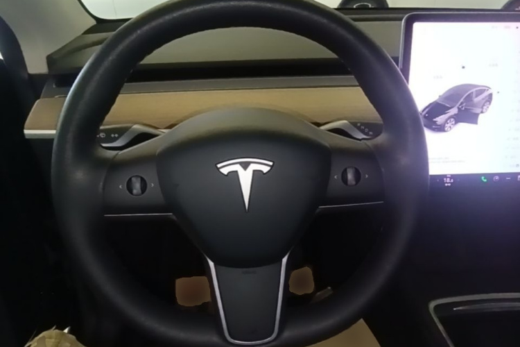 Tesla Model Y 2021 car image #11