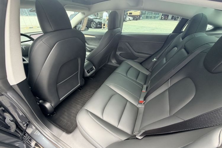 Tesla Model 3 2021 car image #12