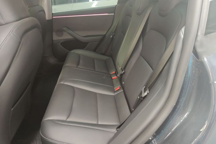 Tesla Model 3 2024 #17 Tesla Model 3 2024 car image #17