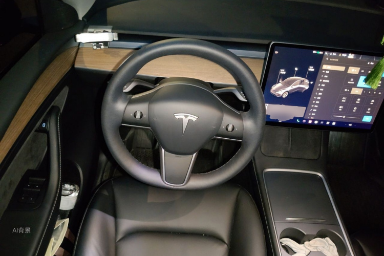 Tesla Model Y 2021 car image #12