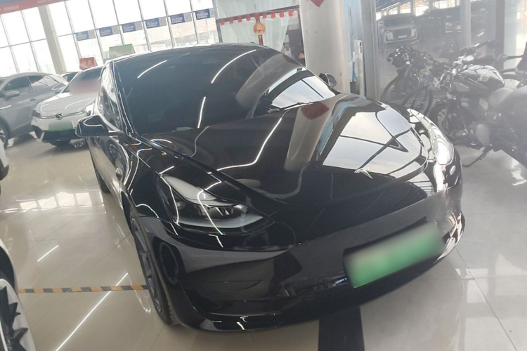 Tesla Model 3 2021 car image #4